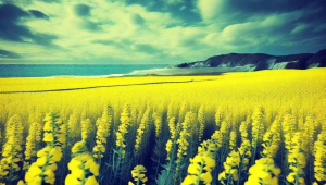 部分云存储软件（如百度网盘、阿里云盘）在同步多个文件夹时，可能会创建多个同步状态窗口，每个窗口对应一个 Windows 标题，增加标题数。​